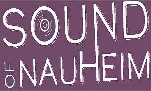 Musikinstrumentenausstellung bei Sound of Nauheim