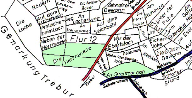 Flurkartenausschnitt Nauheim